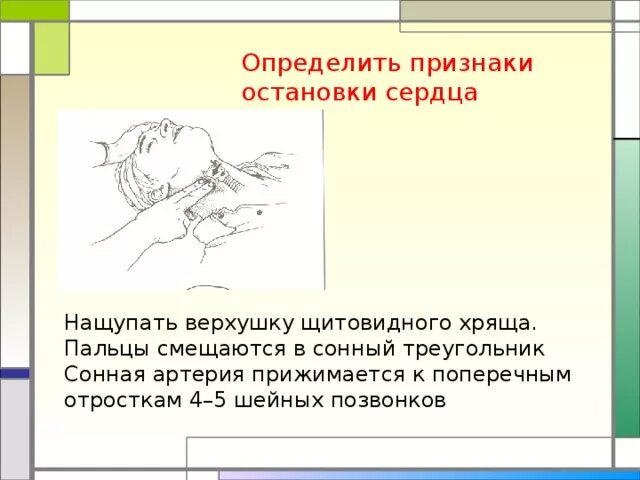 Признаки остановки сердца. Определение признаков остановки сердца. Основные симптомы остановки сердца. Определение признаки остановки сердечной деятельности. Хамиль остановка сердца