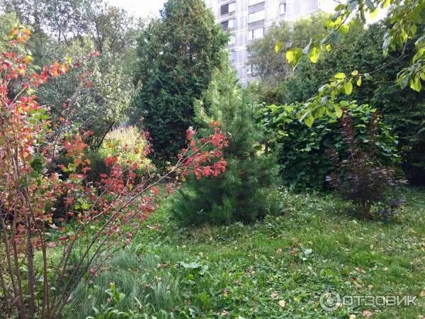 Станция юннатов ул юннатов. Станция юннатов москва ул юннатов. городская станция юннатов рязань. сад юннатов рязань. улица юннатов станция юных натуралистов.