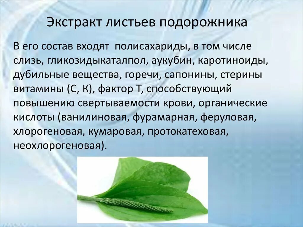 Лечение желудка подорожником. Экстракт подорожника. Подорожник состав. Подорожник лист. Экстракт листьев подорожника большого,.