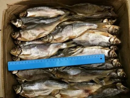 Рыбец техническая ул 3 отзывы