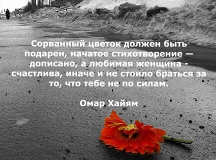 Этот цветок был когда то