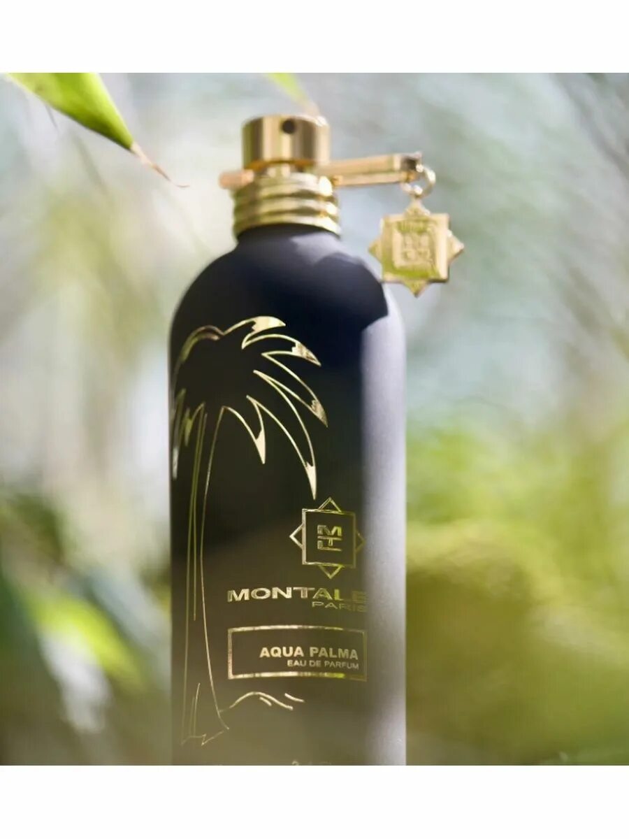 Montale aqua. Монталь Аква Пальма. Montale Aqua Palma EDP 50 ml. Парфюм Montale Aqua Palma. Парфюм Montale Aqua Palma 50мл.