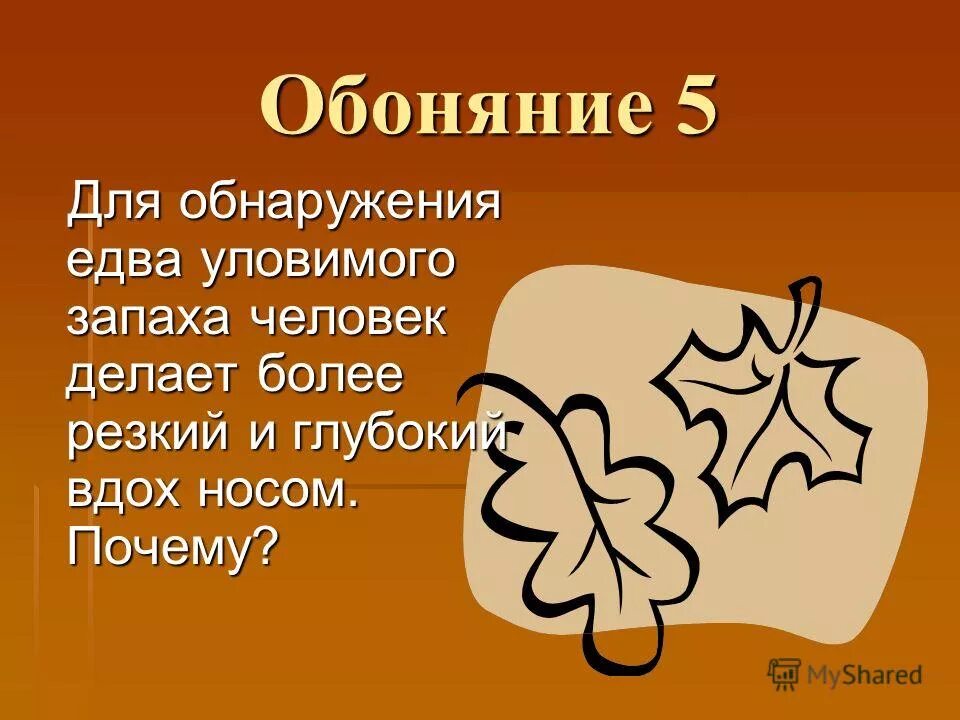Слова сенсора. Чуть уловимый по вечернему душистый дымок тянул откуда то. Орган обоняния у человека. Текст. Сравнительные придаточные предложения и сравнительный оборот.