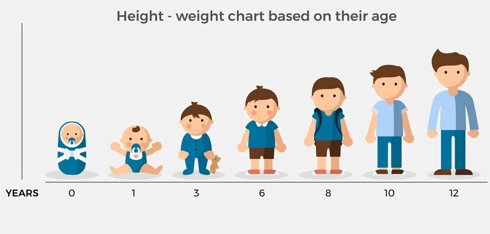 Рост ребенка. Дети по росту. Этапы роста ребенка. Рост и Возраст детей.