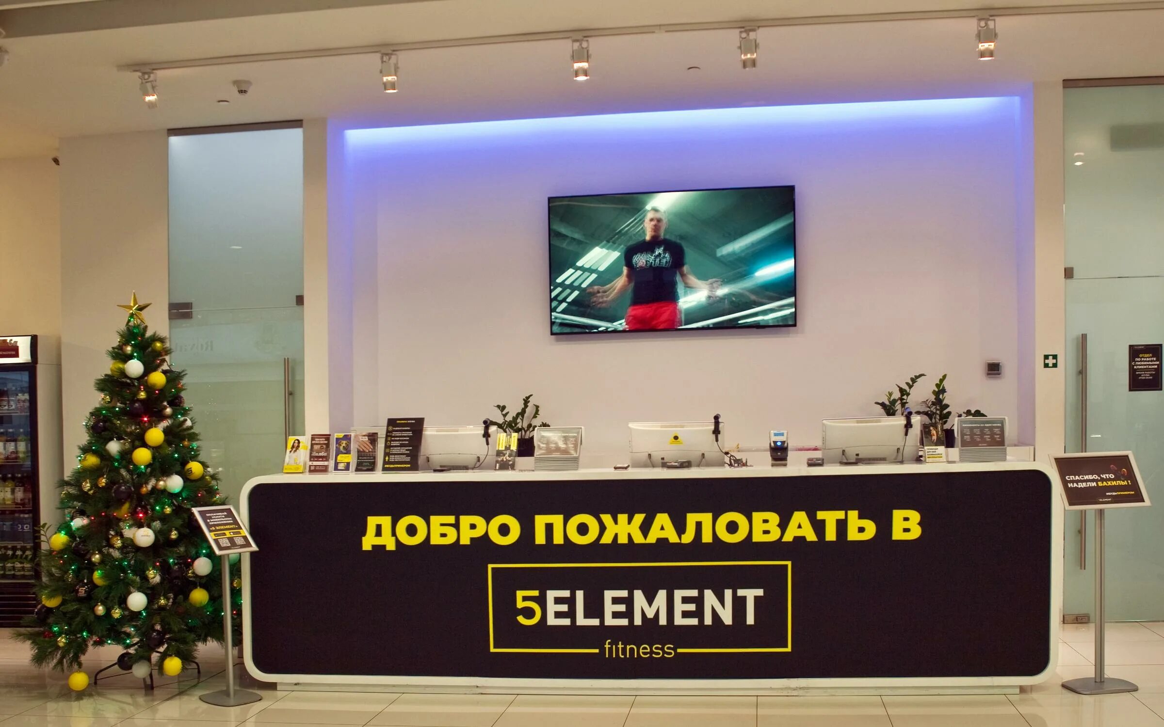 Фитнес-клуб "5 element". 5 Element фитнес Афимолл. Пятый элемент фитнес клуб Москва Сити. Фитнес клуб 5 элемент Москва.