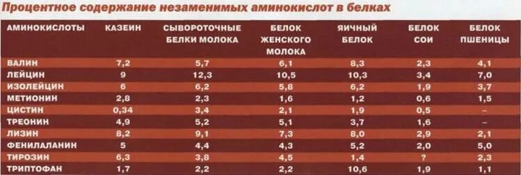 Аминокислотный состав протеинов таблица. Аминокислотный состав растительных белков. Соотношение аминокислот в белке. Аминокислотный состав коллагена человека таблица. Аминокислотный состав кормов.