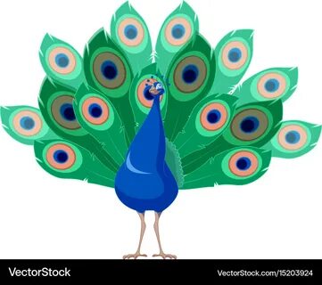 As happy as a peacock