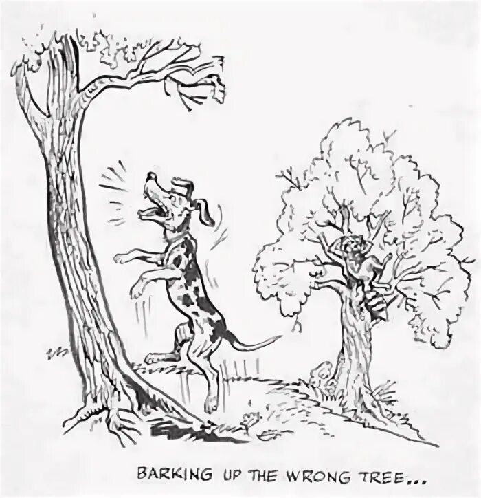 The wrong tree идиома. Bark up the wrong tree идиома. barking up the wrong tree идиома. to bark up the wrong tree meaning. лаять не на то дерево.