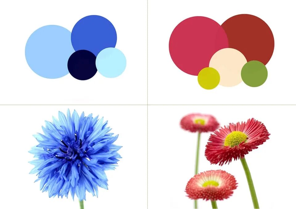 Макото Шичида цветовосприятие. Цвета для дошкольников. Цветовые карточки для детей. Изучение цветов для детей.