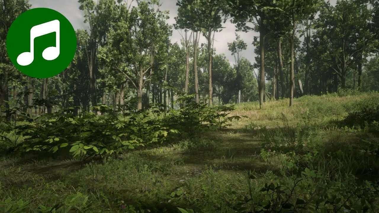 Forest 2 c. Red Dead Redemption 2 Ambient OST. Red Dead Redemption 2 пейзажи. РДР Forest. Леса в РДР.