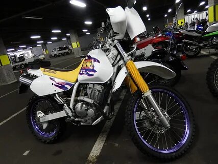 Suzuki djebel