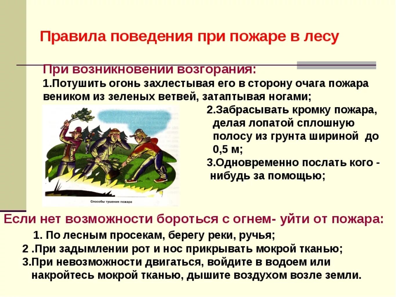 Правила поведения при пожаре в лесу. Правилаповрдкрия в лесу при пожаре. Правило поведения при пожаре в лесу. Правила поведения при Лесном пожаре.