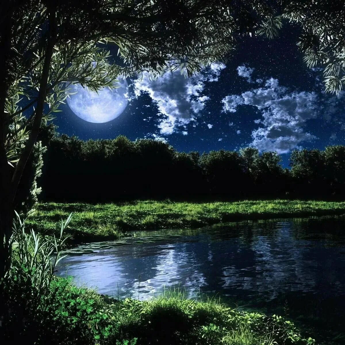 Бесплатные картинки ночи. Ночное озеро. Природа ночью. Летняя ночь. Озеро ночью.