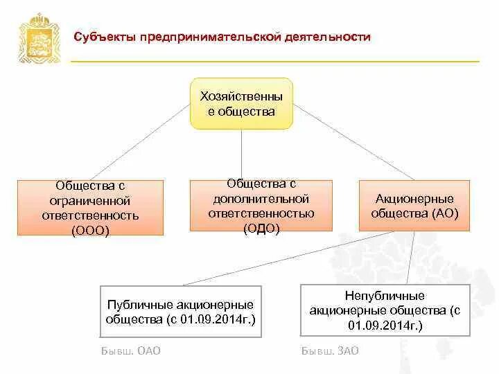 Виды ооо в рф. Подвиды ООО. Виды ООО. Подвиды ООО предприятия. Субъекты предпринимательской деятельности Обществознание.