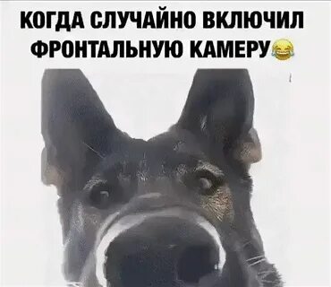 Включи когда мы были на