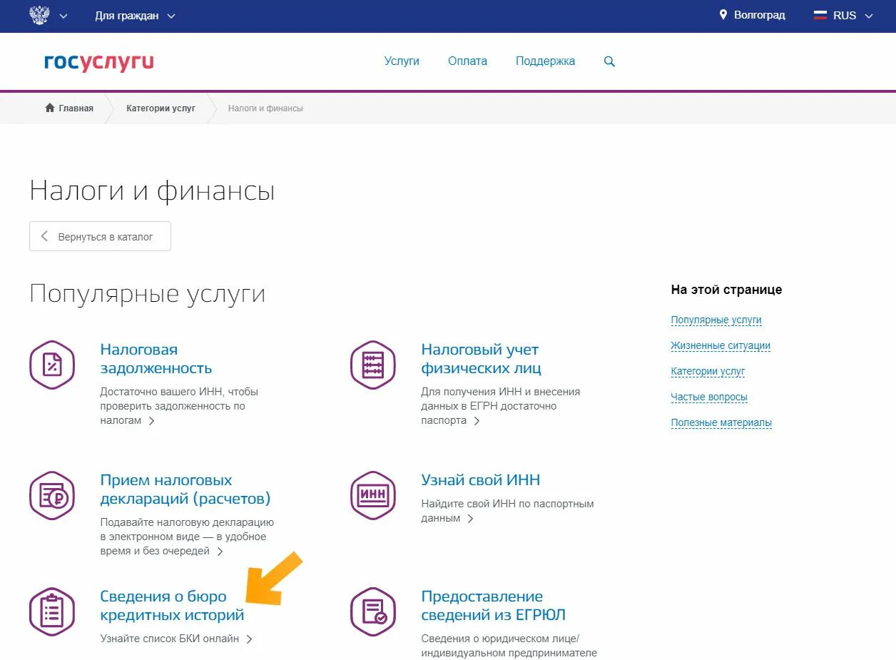 Госуслуги для физических лиц. Налоги через госуслуги. Налоги и финансы госуслуги. Госуслуги задолженность по налогам. Раздел услуги на госуслугах.