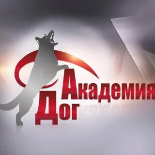 Академия хабаровск