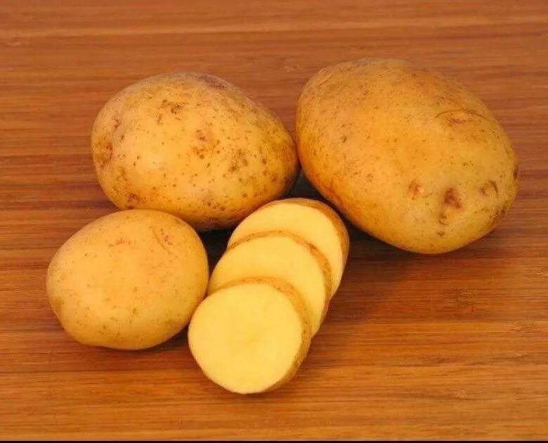 Картофель ласунок купить. Картофель сорта Yukon Gold,. Семенной картофель Терра. Сорт картофеля Потато. Картофель сорт Терра.