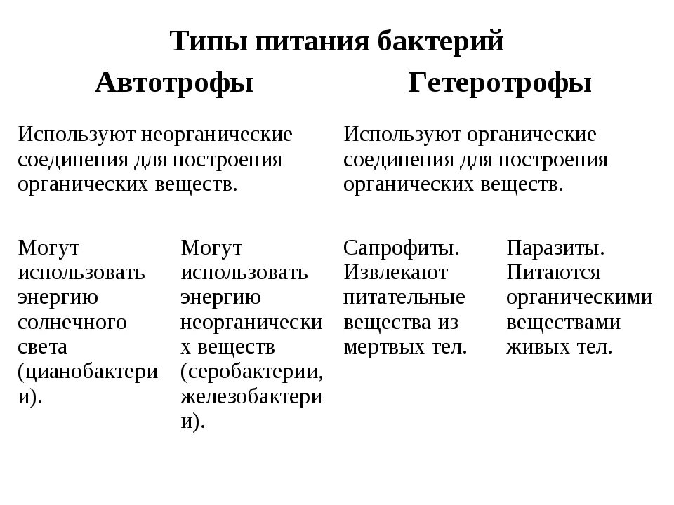 Питание бактерий автотрофы. Питание бактерий автотрофы и гетеротрофы. Гетеротрофный Тип питания у бактерий. Питание бактерий схема гетеротрофы автотрофы.