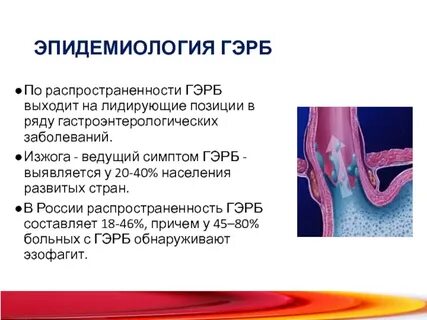 Гэрб аллергия