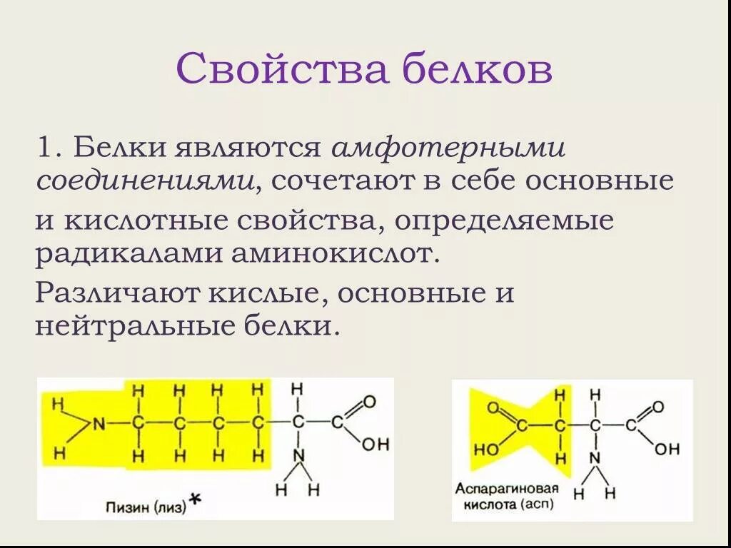 Кислотные белки