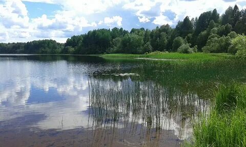 Спасское ивановская область