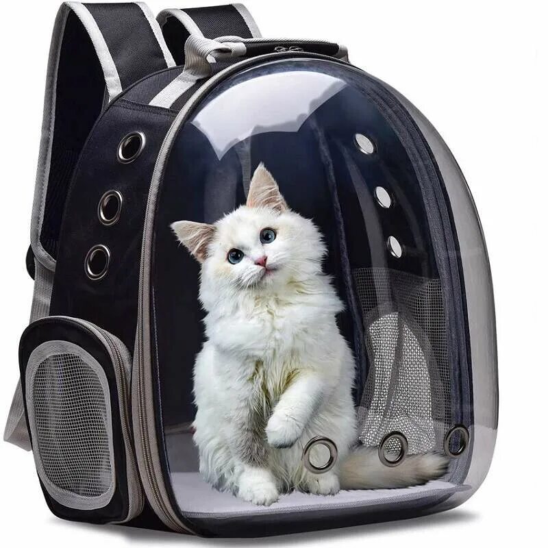 Рюкзак для переноски животных прозрачный Space Capsule. Переноска Cat Carrier. Рюкзак переноска для кошек. Портфель для переноски кошек. Купить рюкзак переноску для кошек