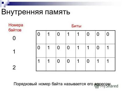 Номера битов