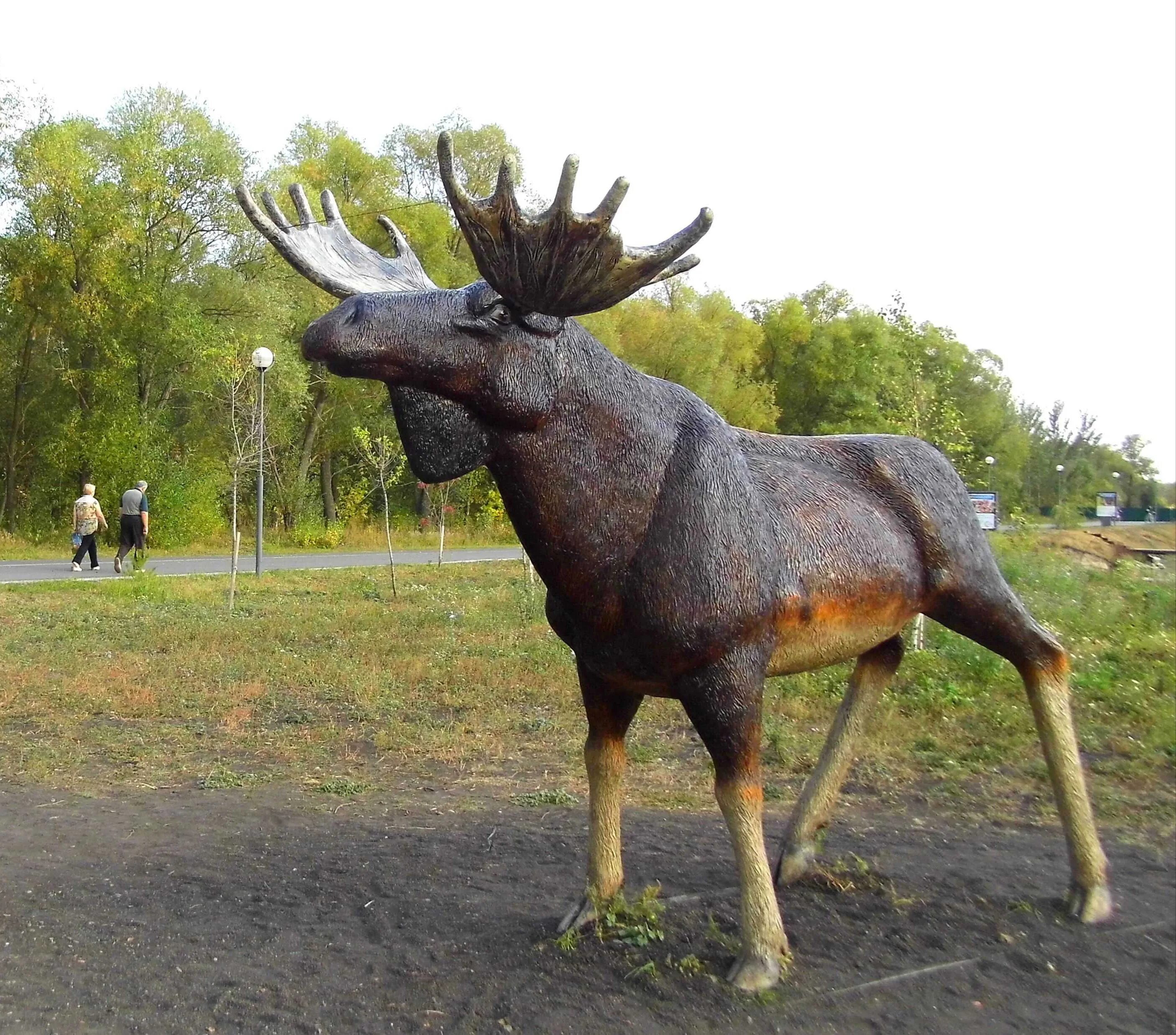 Пензенский лось. Лось статуя Переславль-Залесский. Переяславль Залесский Лось статуя. Лось (скульптура, Советск). Лось в Калининградской области.