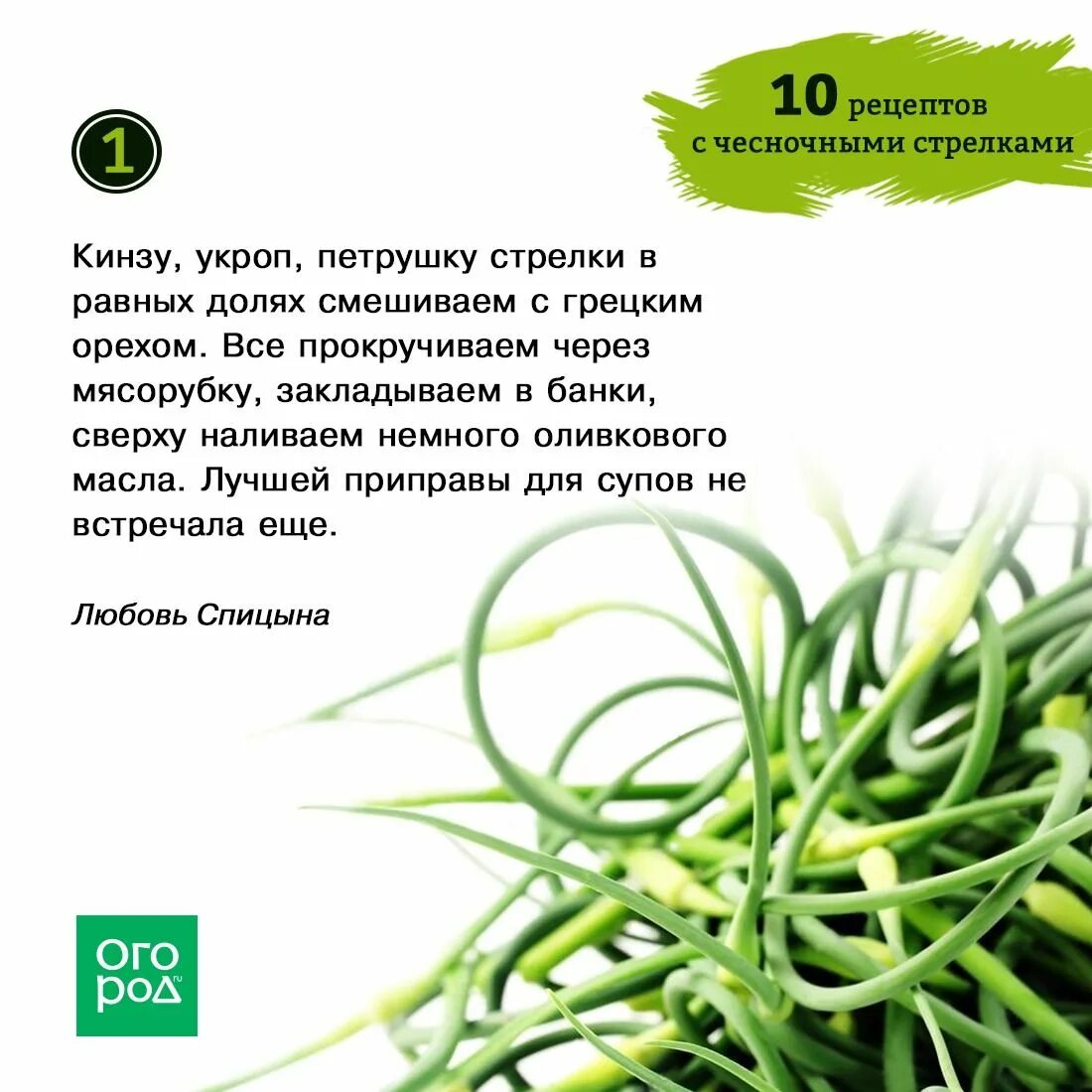 Что можно из стрелок чеснока. Чесночные стрелки. рецепт из стрелок чеснока. чесночные стрелки рецепты. стрелки чеснока на зиму рецепты.