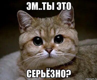 Ты это серьезно