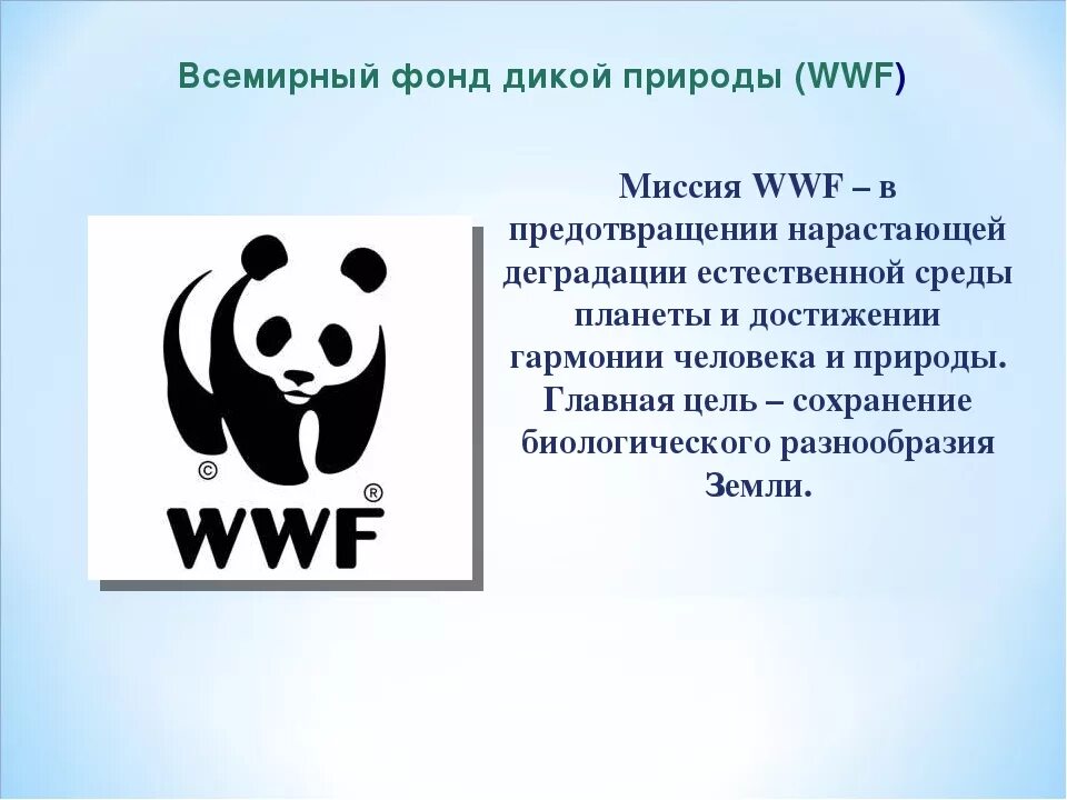 Международный всемирный фонд. Всемирный фонд дикой природы WWF. Всемирный фонд дикой природы основные направления деятельности. Эмблема Всемирного фонда охраны природы. Международные организации защиты животных WWF.