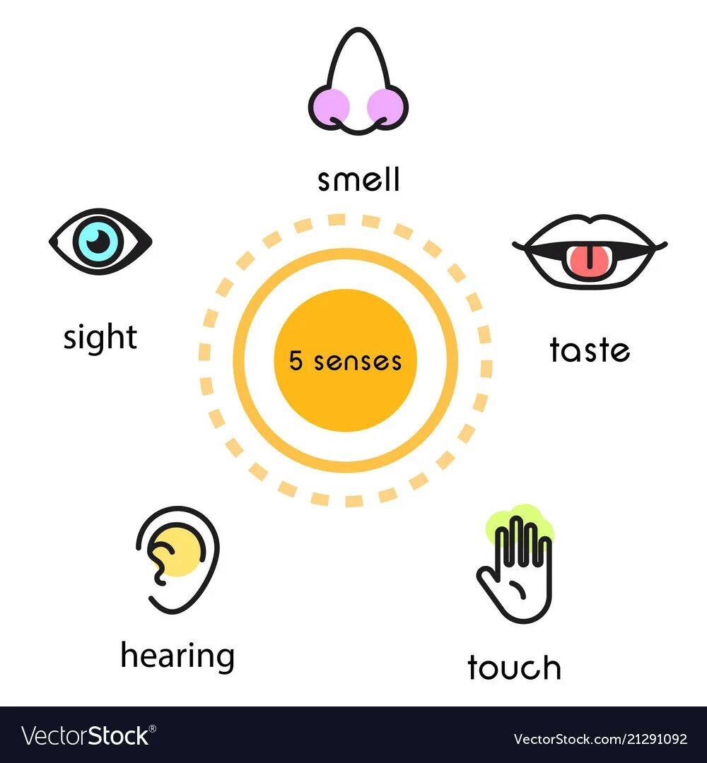 5 Чувств иконка. Sense smell hear Touch taste. See hear smell taste Touch. Ощущение вкуса иконка. See hear feel