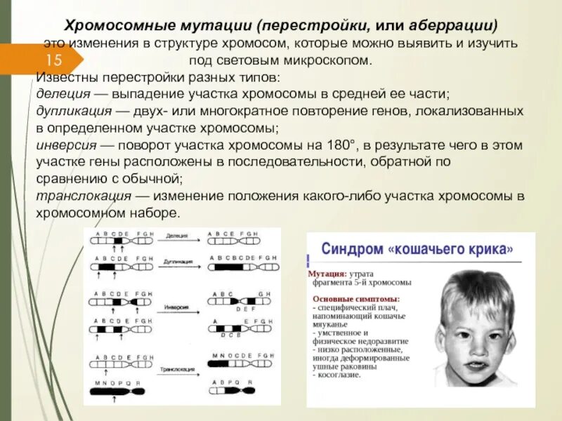 Хромосомные мутации. Хромосомные мутации примеры. Примеры хромосомных мутаций у человека. Хромосомные мутации это изменение. Изменения первой хромосомы