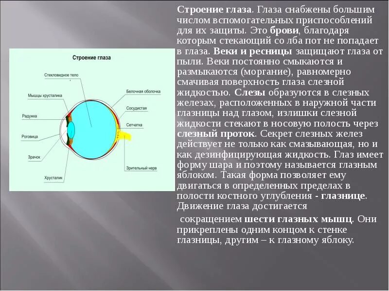 Вспомог защита глаза. Глазная жидкость. Жидкость дезинфицирующая поверхность глаза.