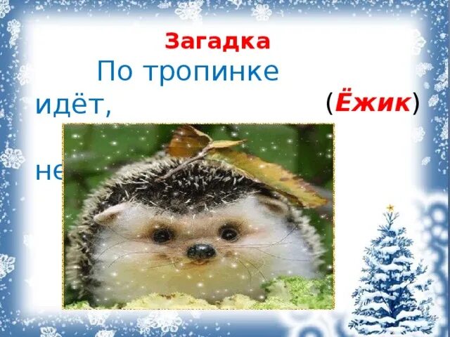 Загадка про ежика для 1 класса