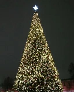 Горьковская елка