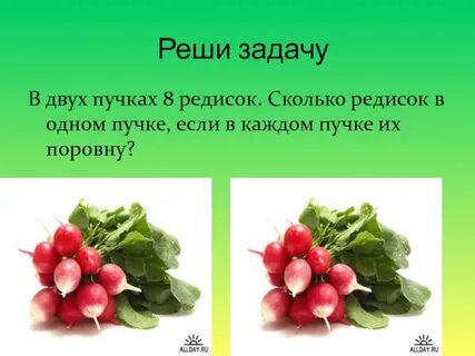 Редиска календарь