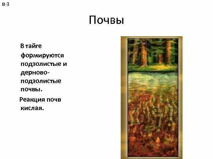 Почвы тайги и их свойства. Дерново-подзолистые почвы. Почвы тайги. Подзолистые почвы тайги. Дерново-подзолистые почвы тайги.