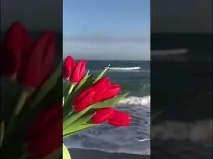 Песня бушует май