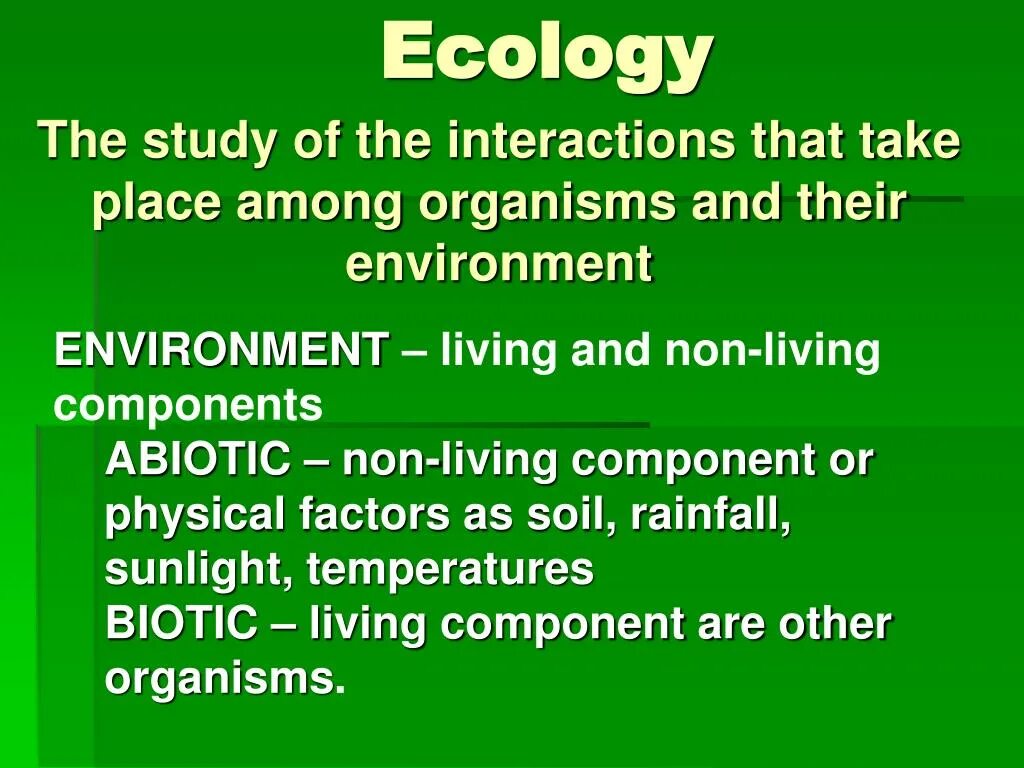 Environment презентация. Ecology презентация на английском. Ecology is the study of interactions. International Environmental Organizations. Презентация экология английский