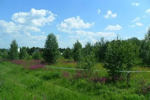 Горки тульская область