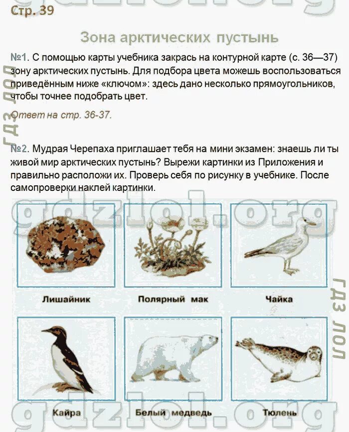 Окружающий мир 4 класс стр 34 39. Рабочая тетрадь окружающий мир пустыня. Зона арктических пустынь окружающий мир тетрадь. Зона арктических пустынь 4 класс окружающий мир тетрадь. Арктические пустыни окружающий мир рабочая тетрадь 4 кл Плешаков.