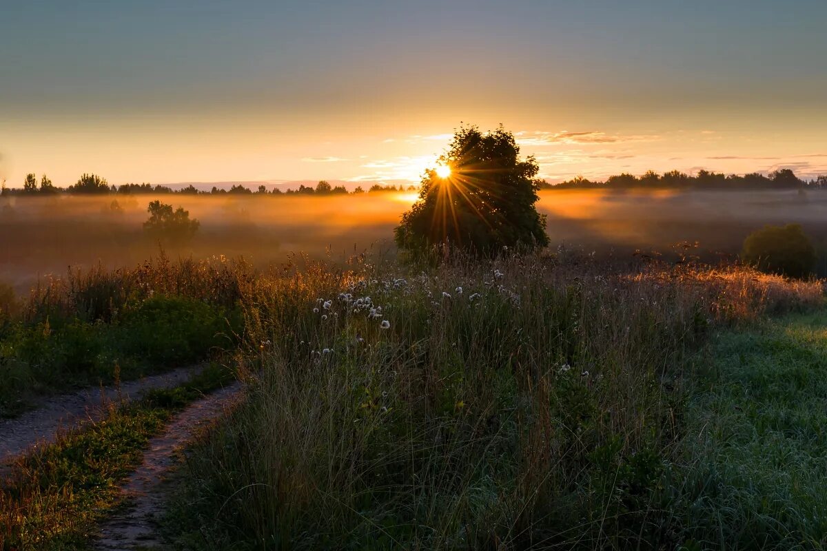 природа закат. рассвет на реке. летний закат в деревне. утренняя река. пейзаж вечер.