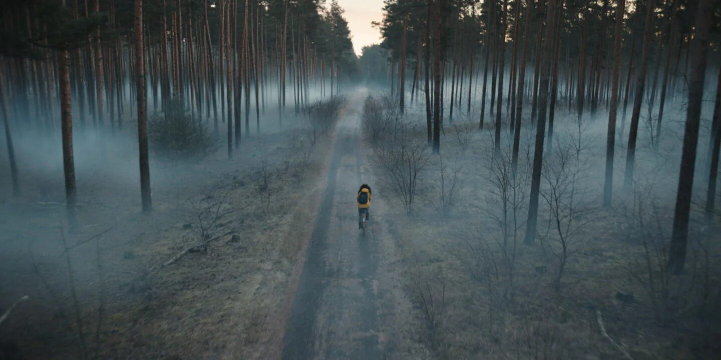 Смотрю лес кончился