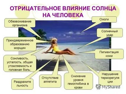 Свет в жизни организма