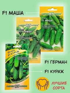 Огурцы сорта кураж характеристики