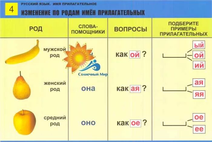 Таблица родов имён прилагательных. Как определить род и число прилагательных. Окончание существительных по родам в русском языке. Изменение имен прилагательных 3 класс.