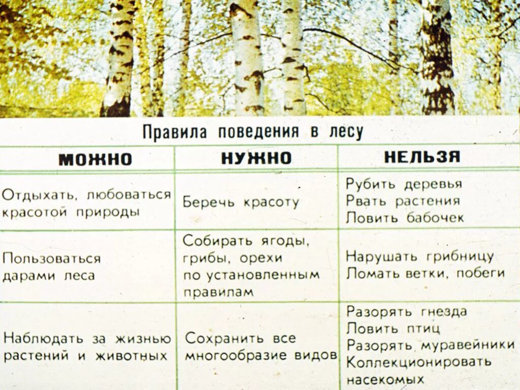 Таблица по биологии растительные сообщества. Влияние человека на Лем. Влияние леса на человека. Влияние человека на лес. Влияние человека на сообщество леса.