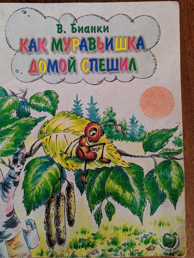 Как муравьишка домой спешил бианки читательский дневник. Бианки в. в. "приключения муравьишки". Муравьишка который спешил домой. Произведения Бианки приключения муравьишки.